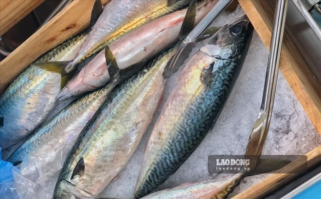 Fish skin contains a lot of protein and collagen that provides beneficial fats. Photo: Kieu Vu