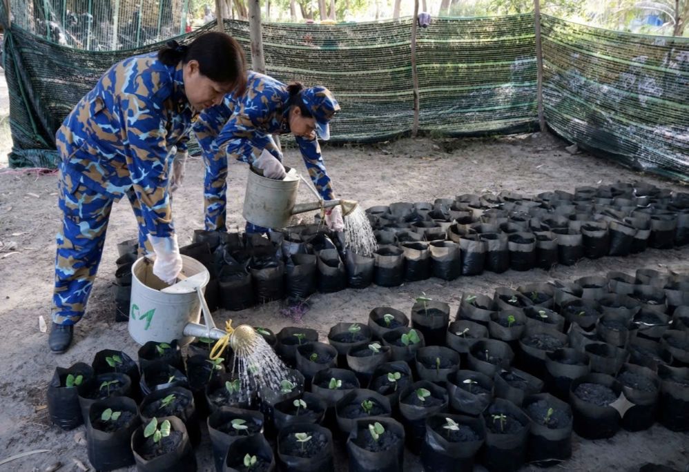 Phụ nữ Lữ đoàn 101 Vùng 4 Hải quân hưởng ứng chương trình “Xanh hóa Trường Sa”
