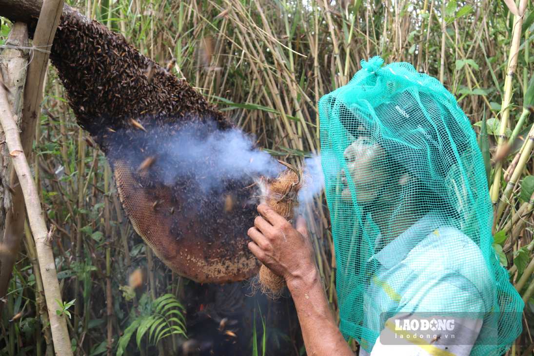 Trước khi có ý tưởng làm du lịch vào năm 2015, Phạm Duy Khánh gác kèo ông bán, khi làm du lịch cả nước biết đến mật ong  U Minh Hạ. Ảnh: Nhật Hồ.