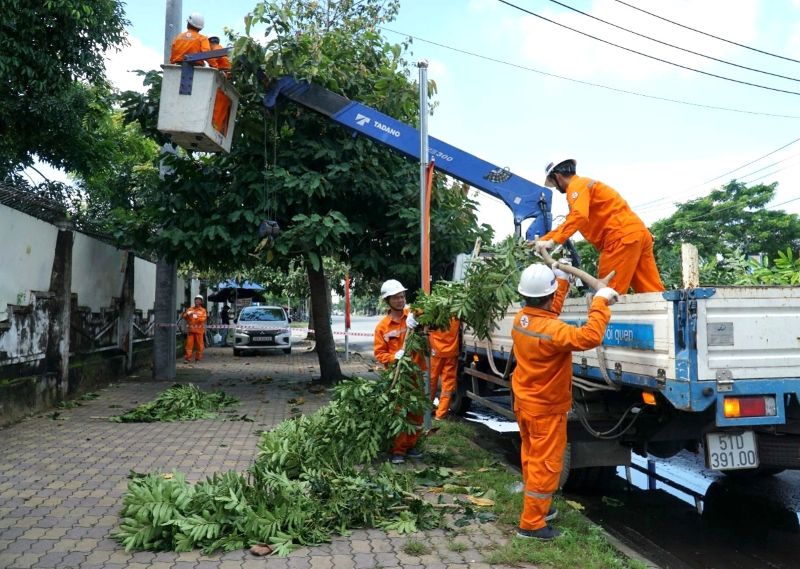 Nhân viên của EVNHCMC cắt tỉa nhánh cây để đảm bảo hành lang an toàn lưới điện. Ảnh: EVNHCMC cung cấp.