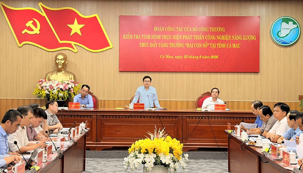 Thứ trưởng Bộ Công Thương Trương Thanh Hoài phát biểu kết luận tại buổi làm việc. Ảnh: EVNNPT