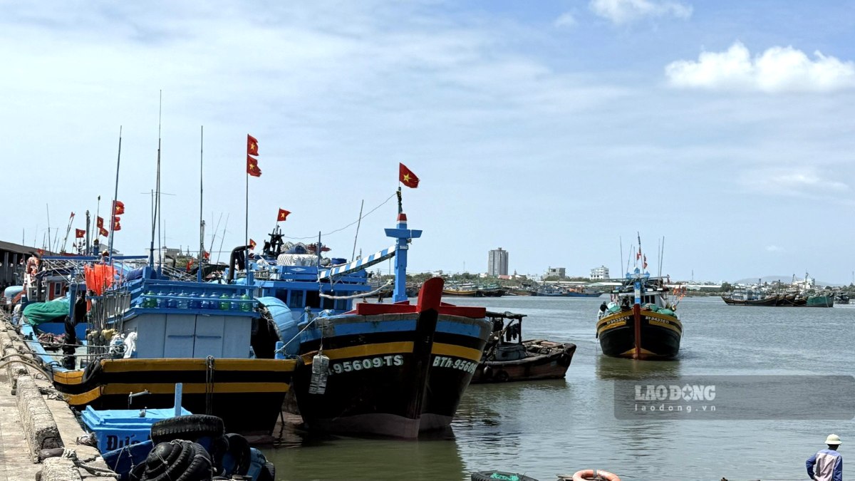 The commune with the billionaire village in Ho Chi Minh City proposes not to merge with neighboring localities. Photo: Thanh An