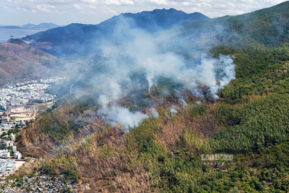 Acacia and eucalyptus forest fires in Quy Nhon Nam ward, Gia Lai. Photo: Hoai Phuong