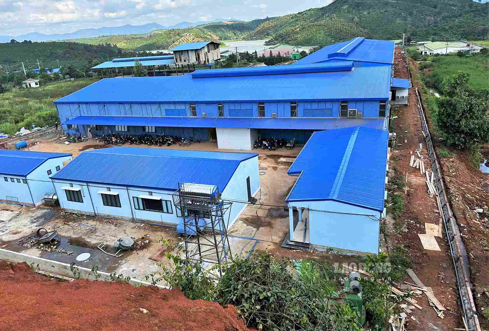 Khu vực xuất hiện nhiều vết nứt sâu, kéo dài tiềm ẩn nguy cơ sạt trượt. Ảnh: Hoài Thanh 
