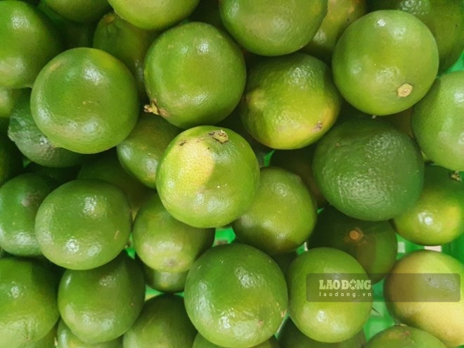 Lemon juice has the effect of supporting lower uric acid, suitable for gout patients. Photo: Ha May.