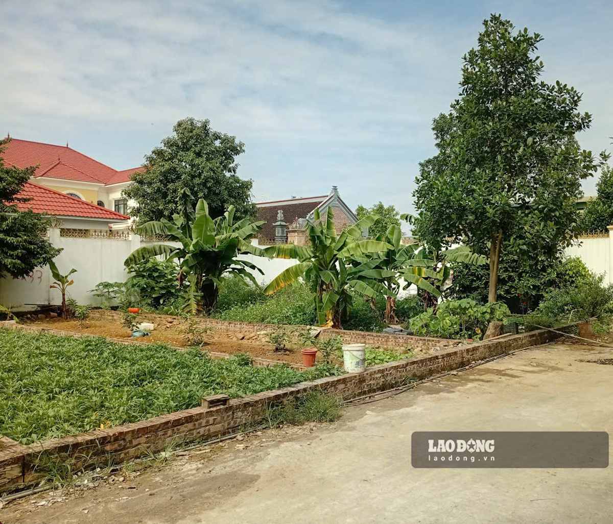 Land plot prices turn down sharply after a period of hot increase. Photo: Binh Nguyen