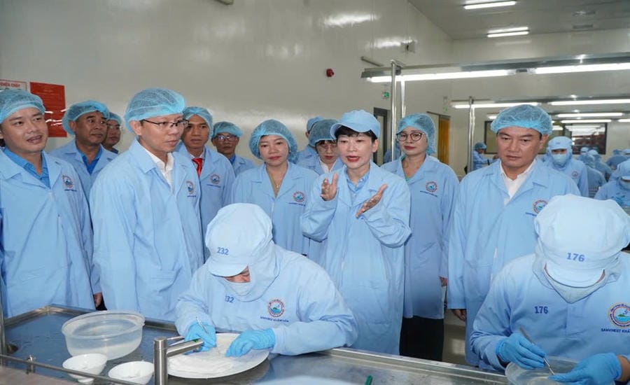 Preparing labor and human resources in the new period is an important goal of Khanh Hoa province. Photo: Thanh Thuy