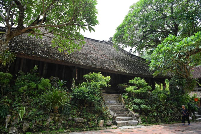 Thay Pagoda is nestled under the canopies of ancient trees, mossy tiled roofs marking the mark of time.