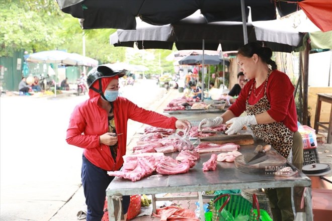 Giá heo hơi hôm nay 28.8: Tiếp đà giảm, thấp nhất là 57.000 đồng/kg