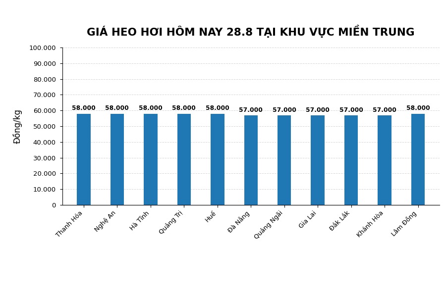 Giá heo hơi hôm nay 28.8 tại khu vực miền Trung. Đồ họa sử dụng AI