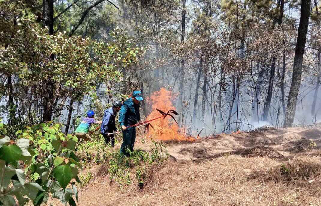 Functional forces control the fire in the area near the forest in An Cuu ward. Photo: An Cuu Ward People's Committee