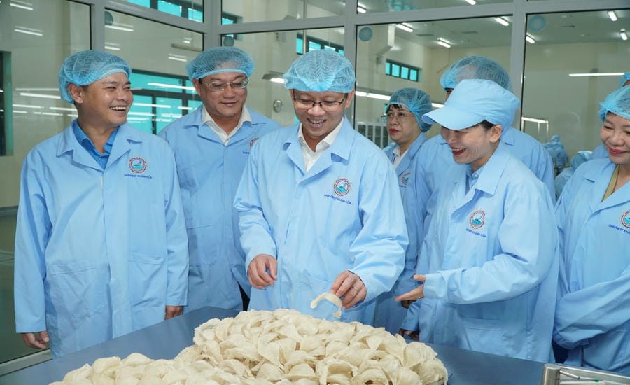 Khanh Hoa province in the coming time will continue to improve the quality of human resources to meet growth pillars. Photo: Huu Long