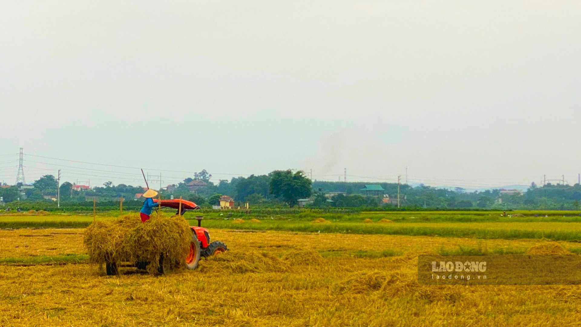 To convert agricultural land to residential land in 2026, it is necessary to check whether the land plot is in accordance with the plan or not. Photo: Thach Lam