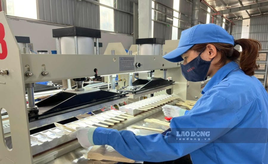 If domestic enterprises can produce products that FDI enterprises need, there will immediately be a consumption market right in Vietnam. Photo: Tuyet Lan