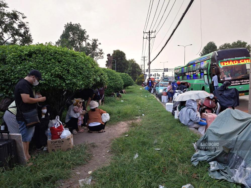 Trời mưa, nhiều hành khách phải trú tạm dưới bụi cây, gốc cây ven đường.  Ảnh: Minh Quân