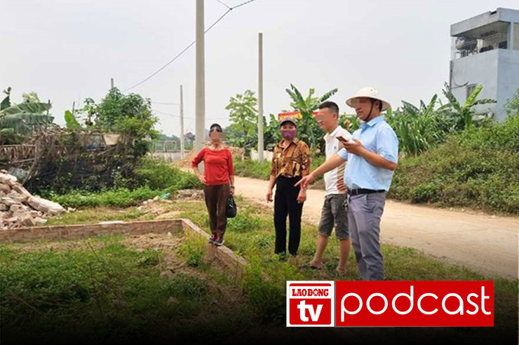 Morning news on August 29: Land plot prices in some places decreased by 75% after only half a year