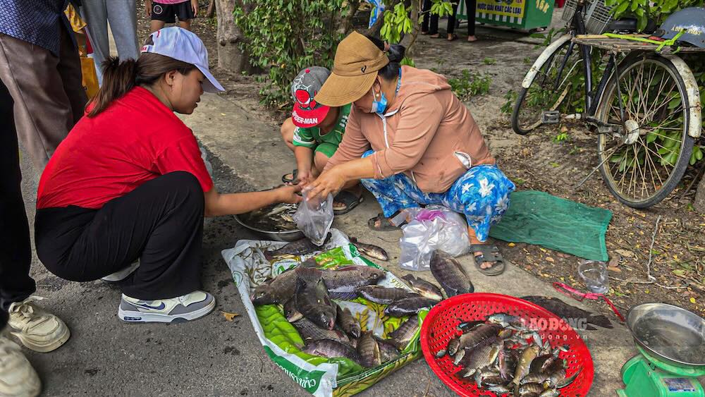 Cá, tôm bắt được trong ngày “Phá Trằm” được người dân bày bán ngay bên khu vực lễ hội. Ảnh: Hưng Thơ