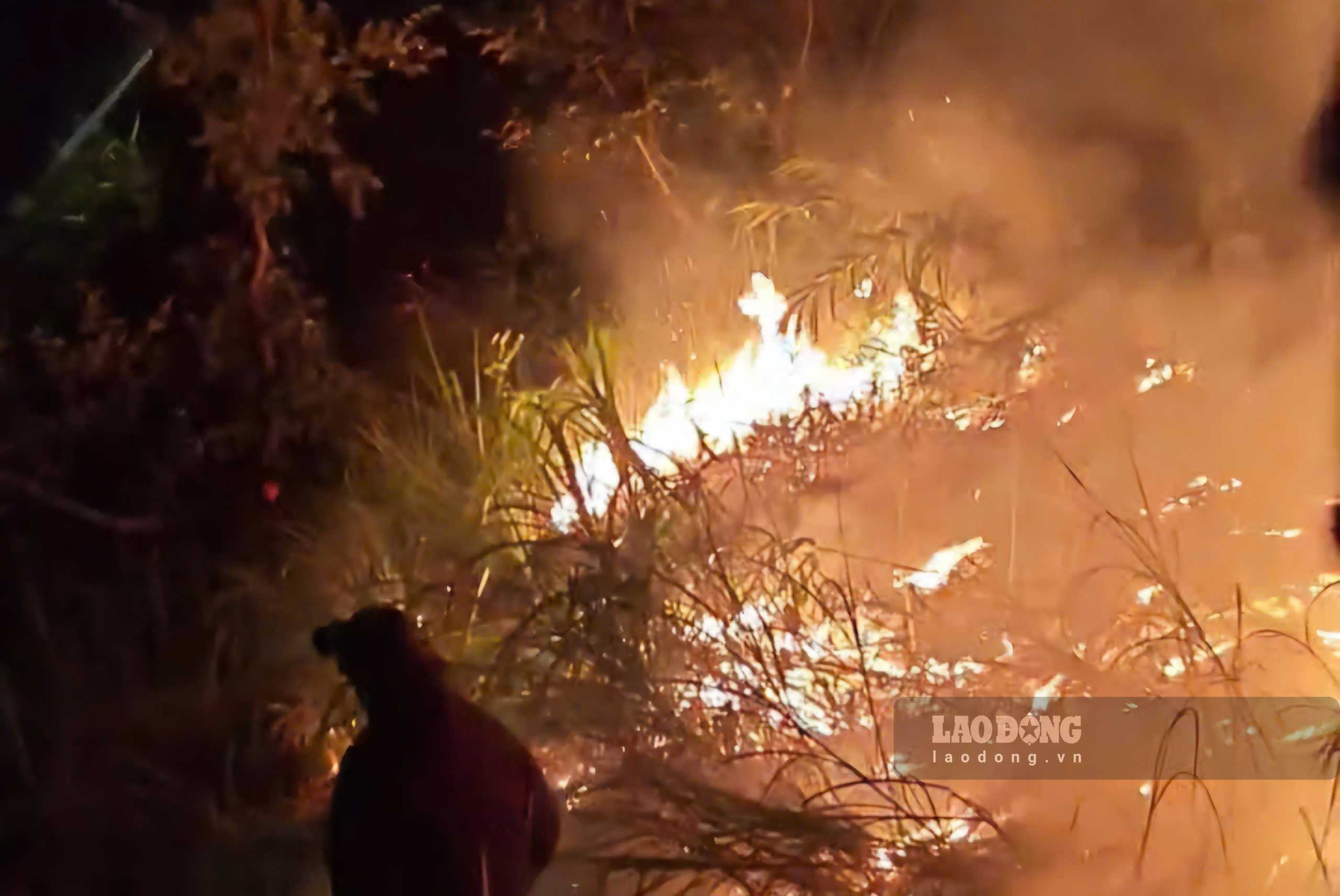 After about 2 hours of outbreak, the forest fire was controlled. Photo: Duc Bao
