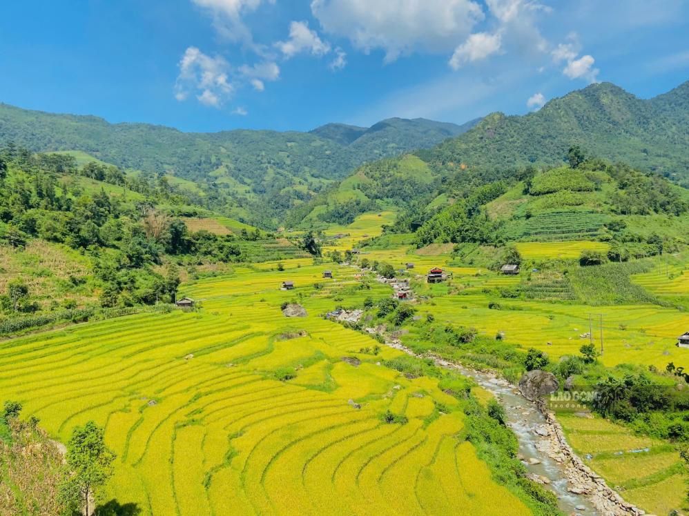 Sa Pa vào mùa lúa chín đúng dịp nghỉ lễ 2.9. Ảnh: Linh Boo