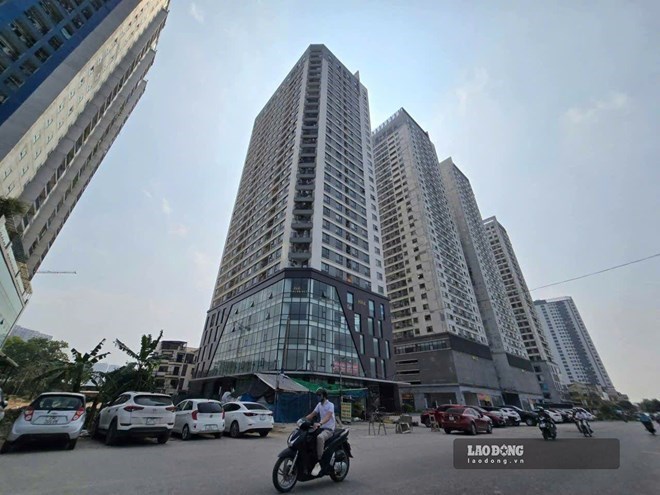 The Ministry of Agriculture and Environment states regulations on the basement of apartment buildings. Photo: Binh Nguyen
