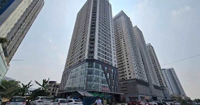 Ministry of Agriculture and Environment responds to land lease with apartment basement exceeding area