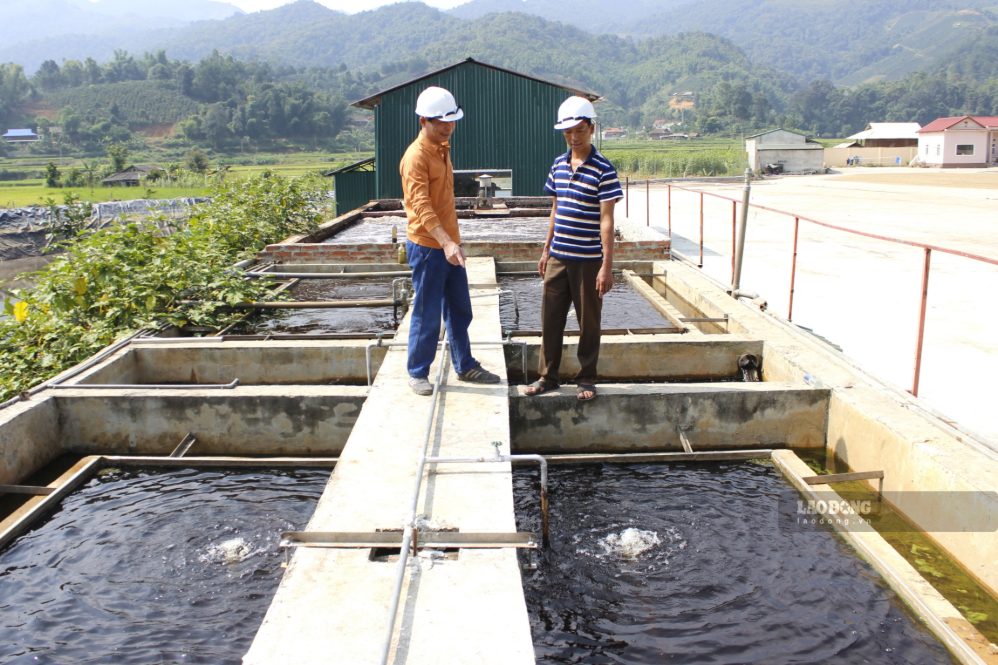 HTX xây dựng và phát triển nông thôn Mường Chanh, xã Mường Chanh, tỉnh Sơn La kiểm tra hệ thống xử lý nước thải chuẩn bị cho vụ cà phê năm 2026 - 2027. Ảnh: Trường Sơn