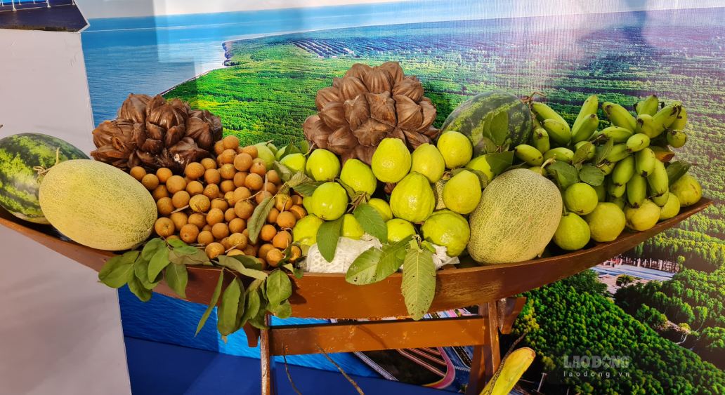Sản vật miền Tây, cũng như Cà Mau còn đơn điệu, đến đâu cũng thấy cây trái giống nhau. Ảnh: Nhật Hồ.