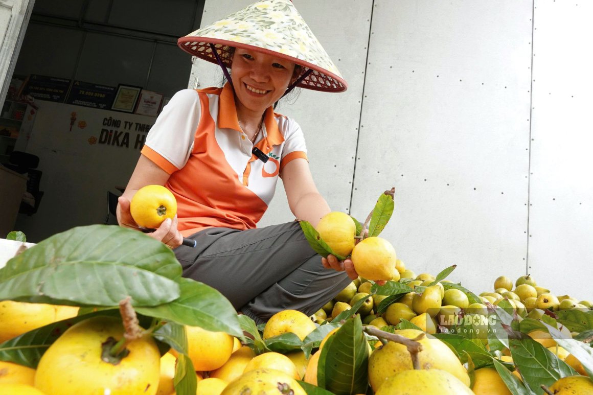Ms. Dieu has researched and processed chewy dried lê ki ma, which has been recognized as meeting OCOP 4-star standards. Photo: Ta Quang