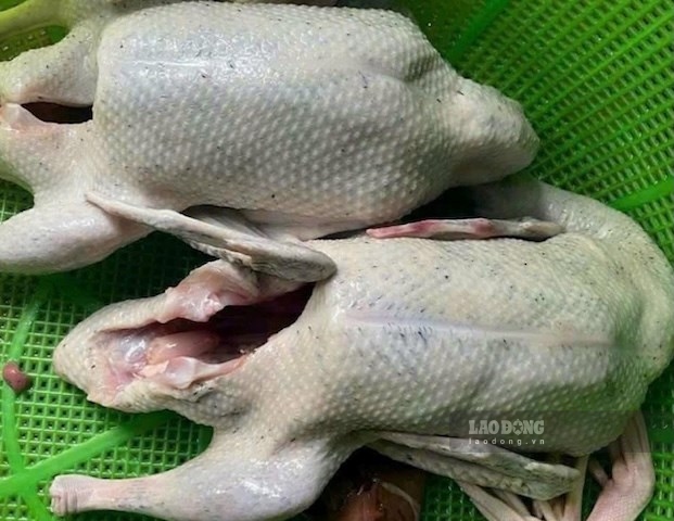 Duck meat helps support lowering uric acid, gout patients should eat it. Photo: Kieu Vu.