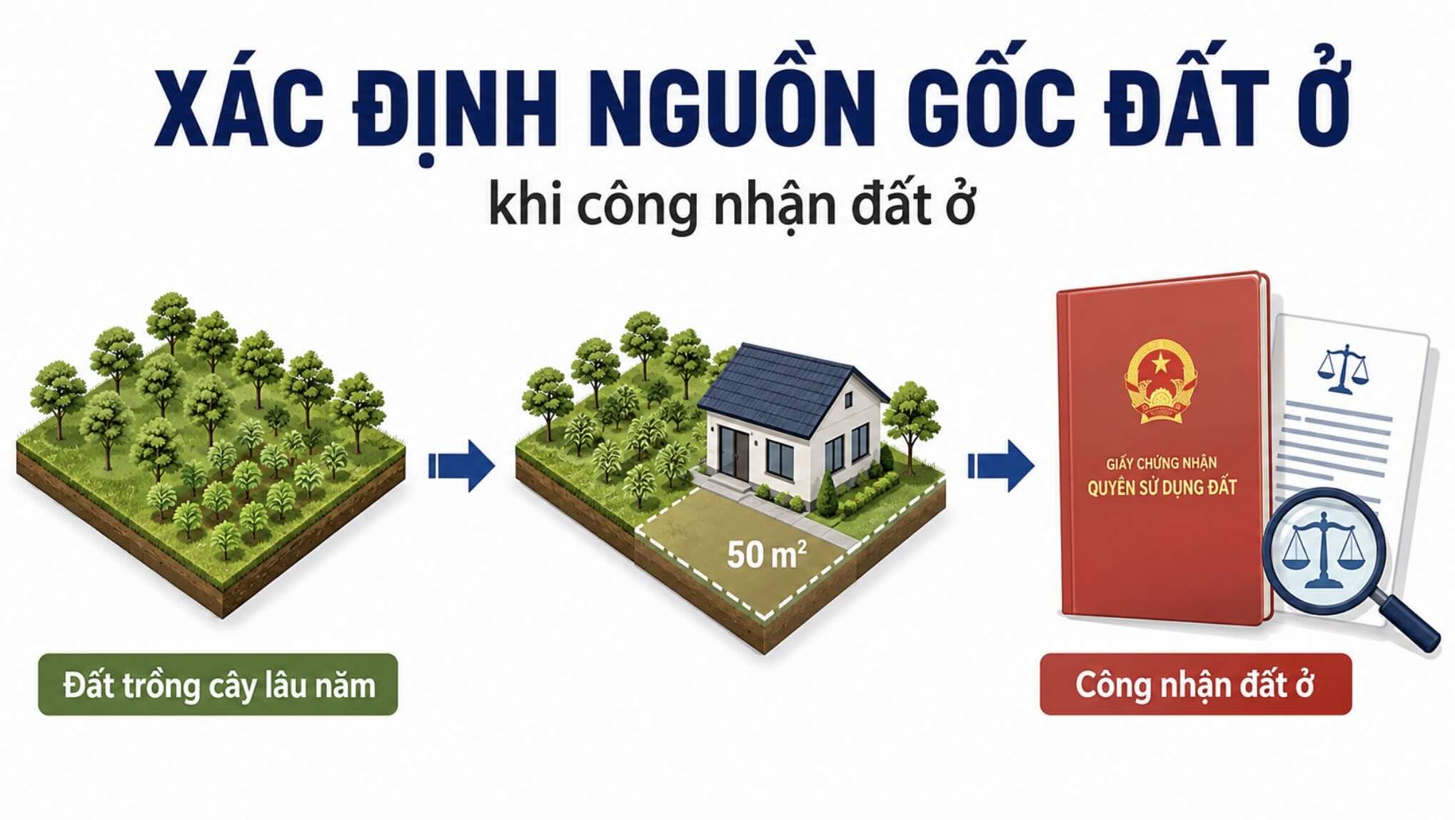 Việc công nhận đất ở trên thửa đất trồng cây lâu năm phải căn cứ hồ sơ, nguồn gốc sử dụng đất và quy định pháp luật. Đồ họa: AI