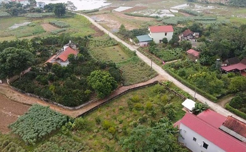 The origin of land use is re-determined when people carry out procedures to recognize the area where houses have been built. Photo: Phan Anh