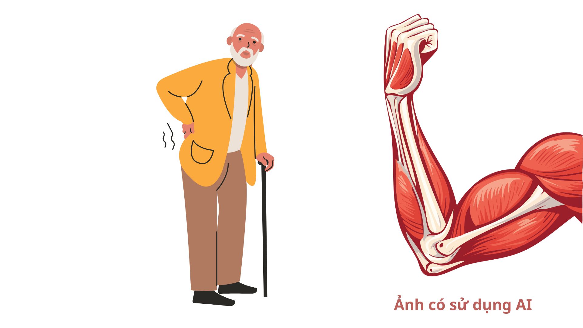 Muscular aging, also known as muscle mass decline, is a state of gradual loss of muscle mass, strength and function of the muscle system over time. Image using AI: Huong Son