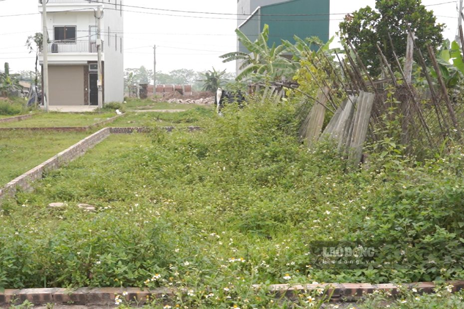 The conversion of agricultural land to residential land must meet many conditions. Photo: Nhu Ha