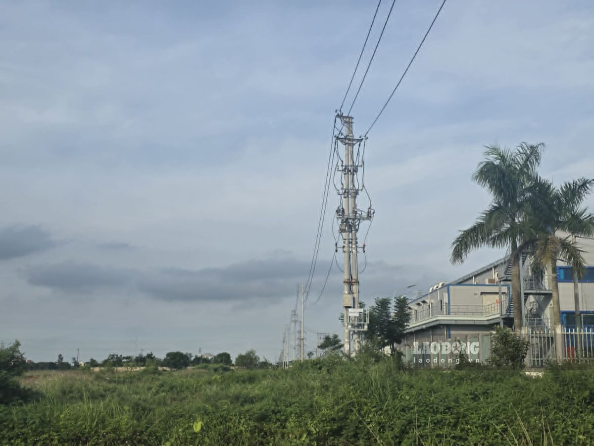 Ninh Binh deploys 110kV power grid project to serve industrial development. Illustrative photo: Ha Vi