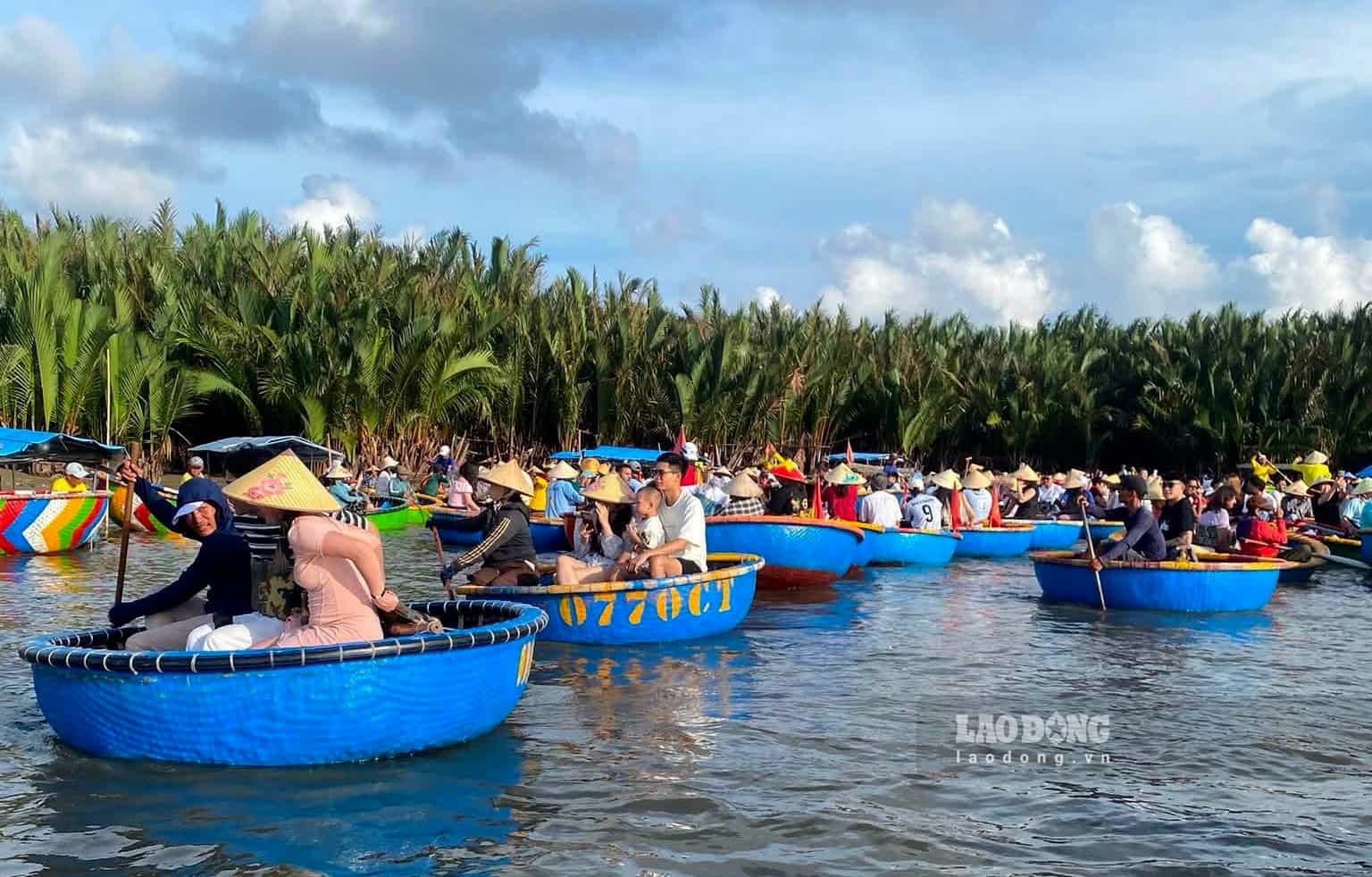 Tourists experience sitting on basket boats weaving through the green water coconut trees in the Bay Mau coconut forest. Photo: Thuy Trang