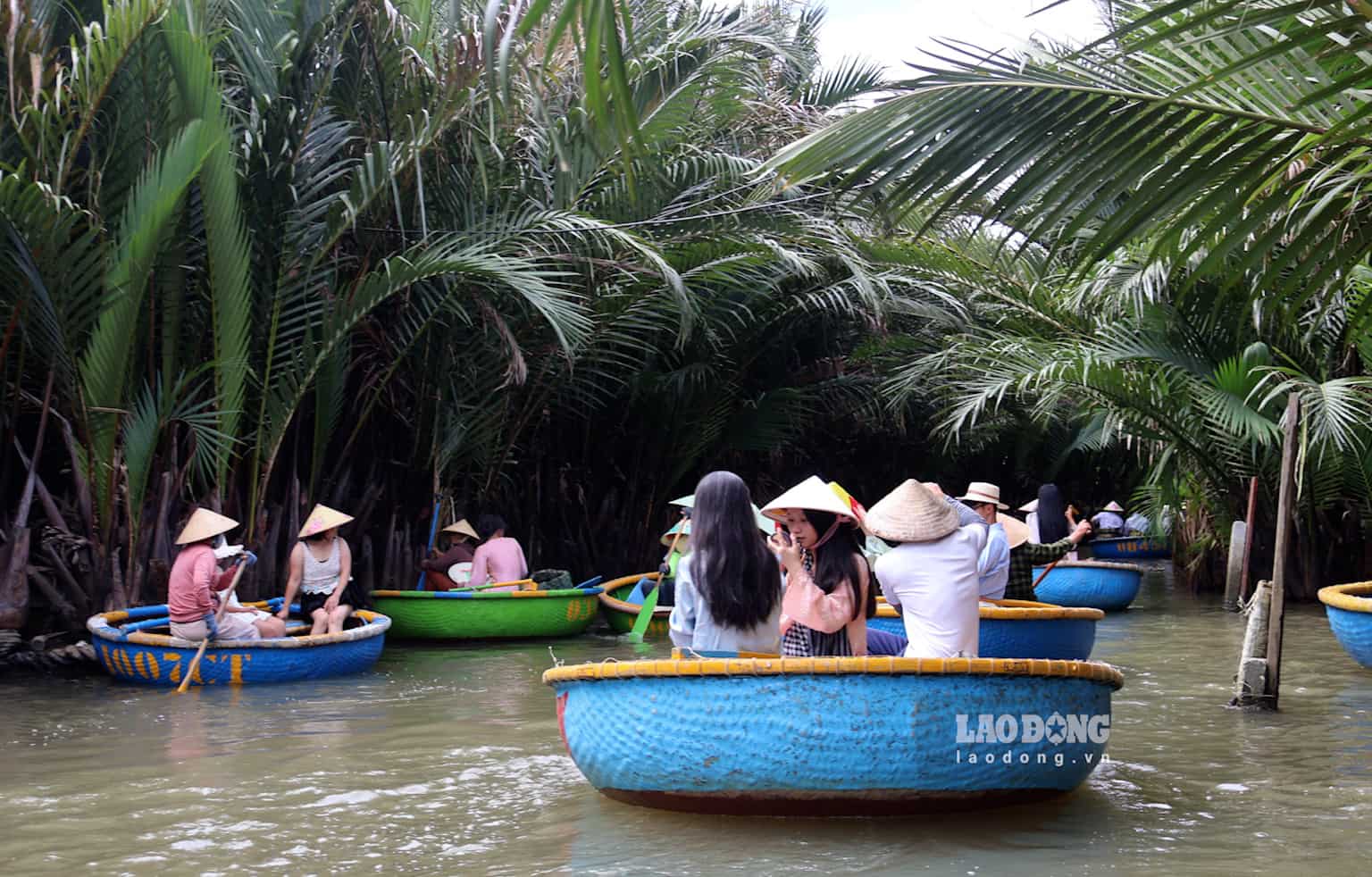 Những chiếc thuyền thúng nối nhau đưa du khách khám phá không gian sông nước ở rừng dừa Bảy Mẫu. Ảnh: Thùy Trang