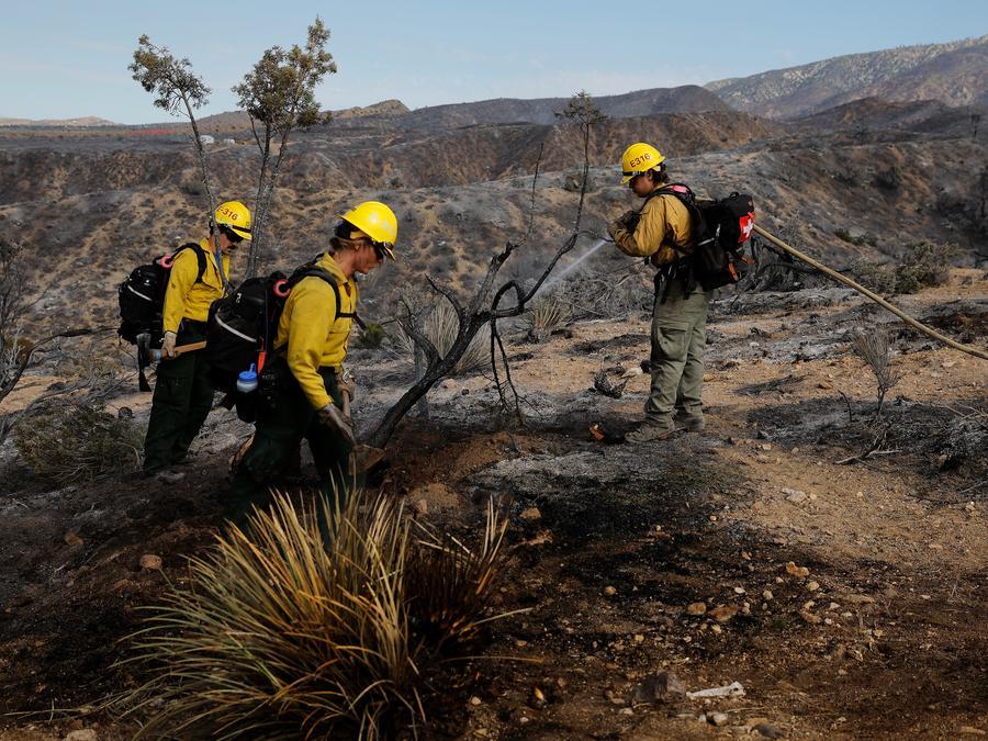 Firefighters clear remnants after controlling a forest fire in the US, July 11, 2026. Photo: Xinhua