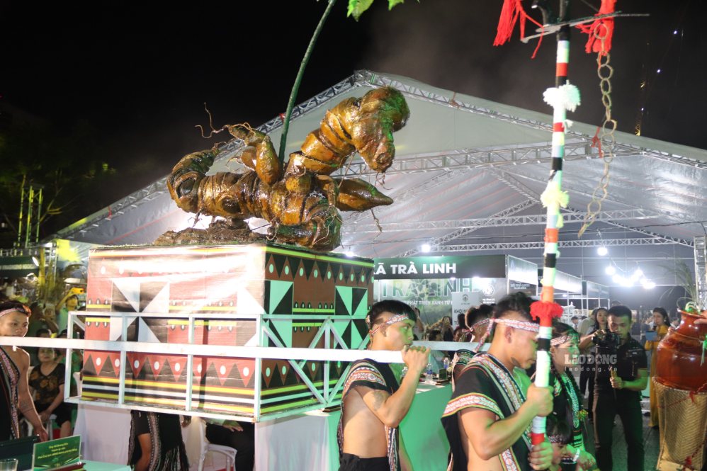 Da Nang launches roadmap to recognize Ngoc Linh Ginseng Day. Photo: Nguyen Linh