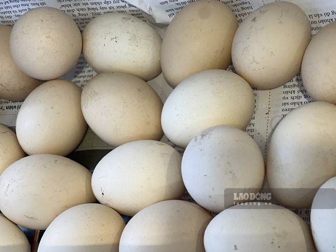 If eaten properly, eggs have many benefits to support the body in reducing fat and retaining muscle. Photo: Quang Minh.