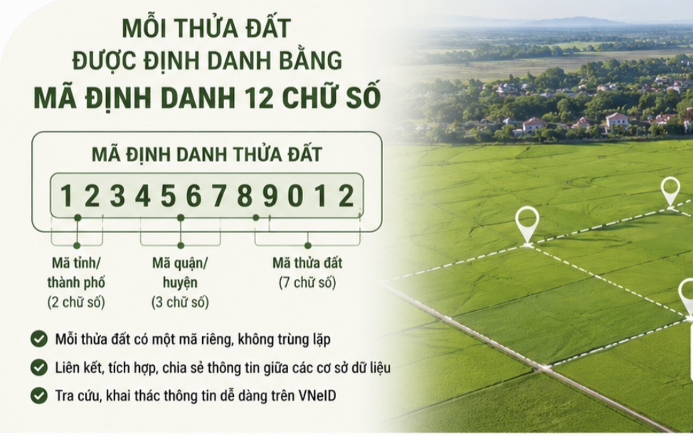 Ảnh tạo bởi AI.