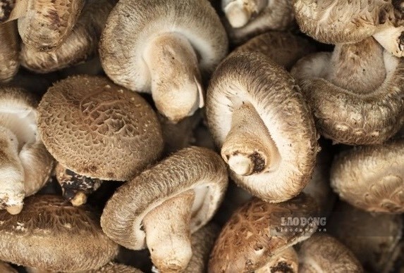 The two dishes chicken stir-fried with shiitake mushrooms and tofu braised with shiitake mushrooms have a simple and rich recipe, suitable for a family meal. Photo: Kieu Vu