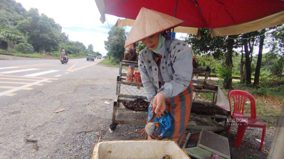 Chị Lâm Tuyết Minh kheo những con cua đá to bằng lòng bàn tay. Ảnh: Xuyên Đông