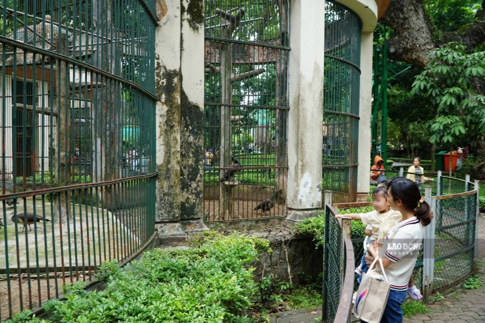 Các em nhỏ hào hứng khám phá và tương tác cùng các loài động vật hoang dã. Ảnh: Thanh Chân
