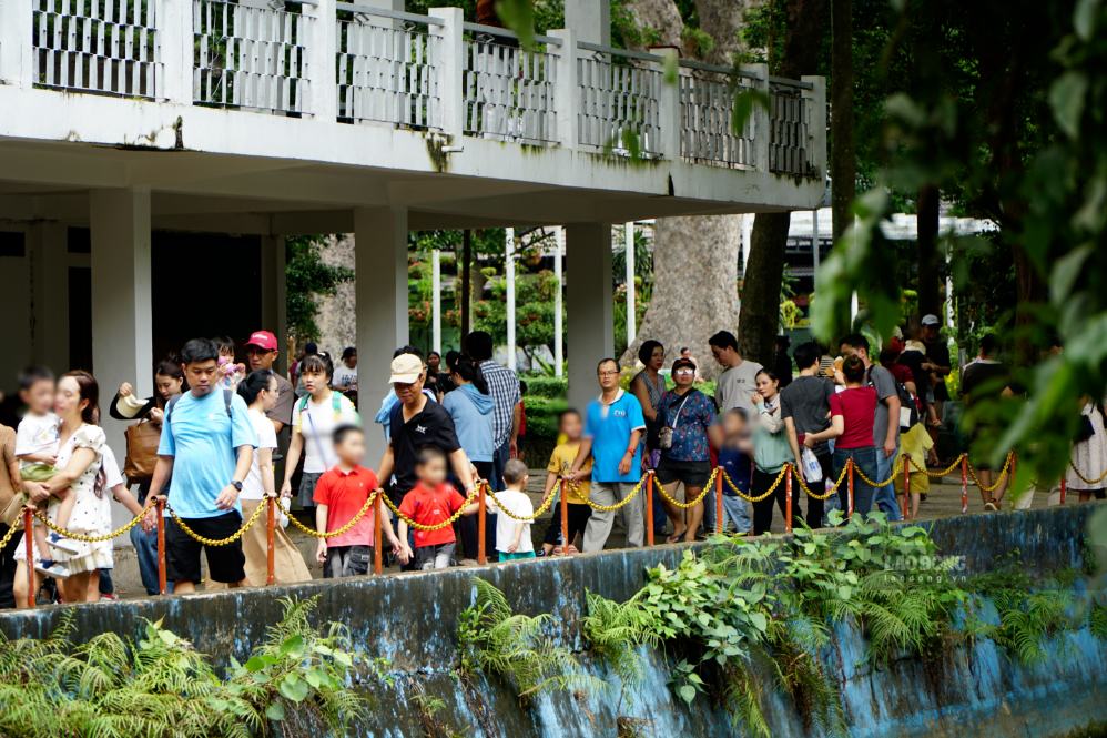 Recorded on August 30 - the second day of the September 2 holiday, Saigon Zoo and Botanical Gardens was bustling to welcome a large number of people and tourists flocking to play and picnic.