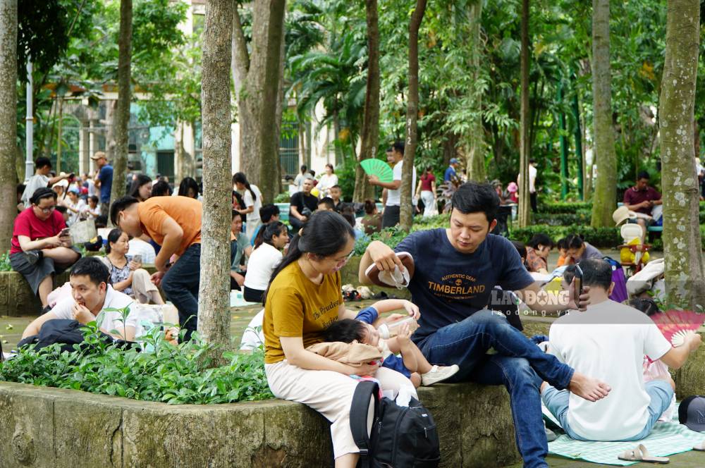 Thời tiết TP.HCM ngày 30.8 mát mẻ, nắng nhẹ, rất thuận lợi cho các hoạt động dã ngoại ngoài trời. Dưới những tán cây râm mát, các bãi cỏ nhanh chóng được lấp kín bởi những tấm bạt picnic.