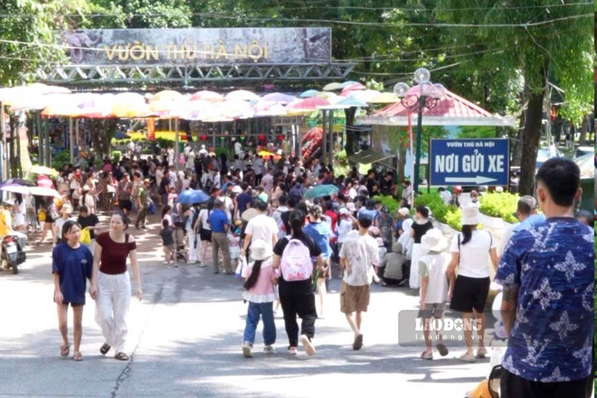 On the second day of the September 2nd holiday, many families from all over flocked to Hanoi Zoo. Photo: Thien Nhan