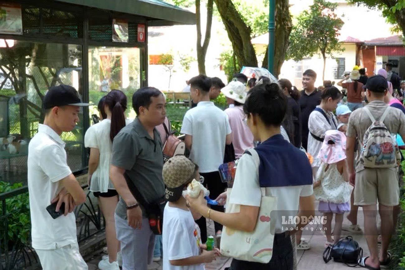 Nhiều gia đình đưa con trẻ đến tham quan, trải nghiệm tại Vườn thú Hà Nội. Ảnh: Thiện Nhân
