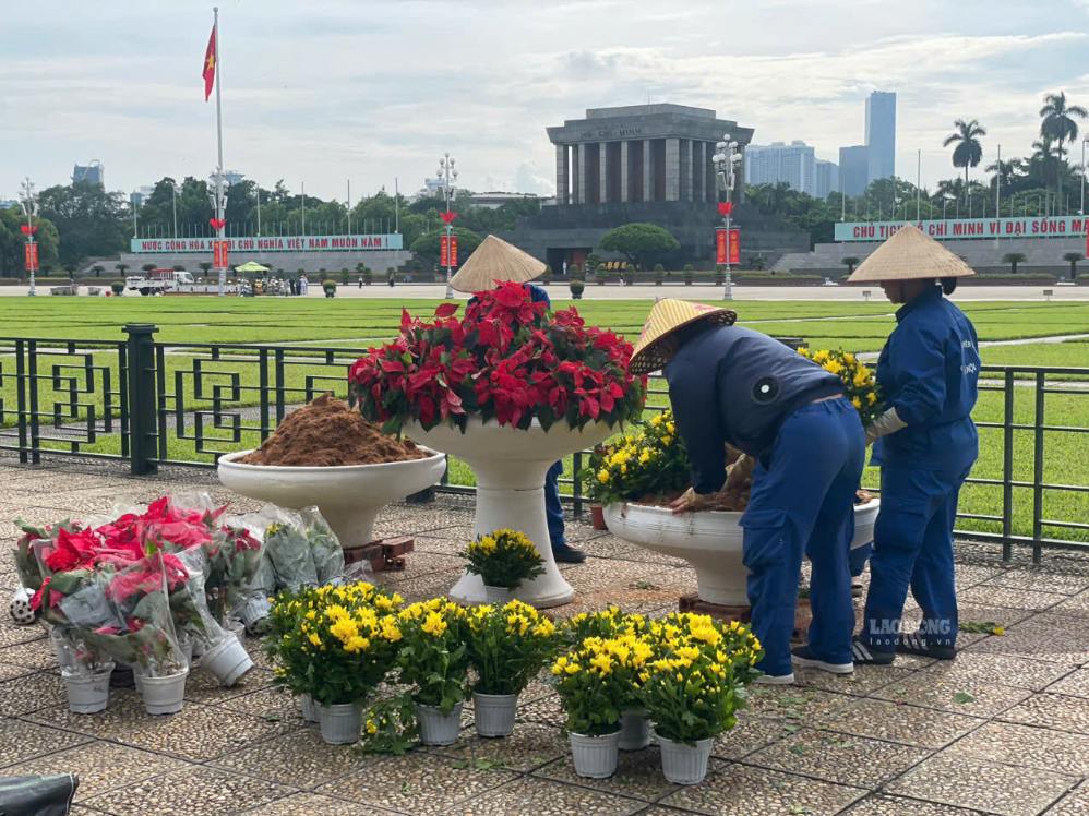 Những khóm hoa đang được hoàn thiện các công đoạn cuối nhằm phục vụ người dân trong kỳ nghỉ Quốc khánh 2.9. Ảnh: I La