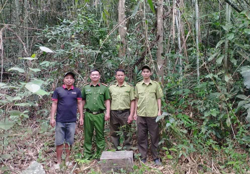 Functional agencies receive 2 pig-tailed macaques handed over by people. Photo: Nam Nung Commune Police