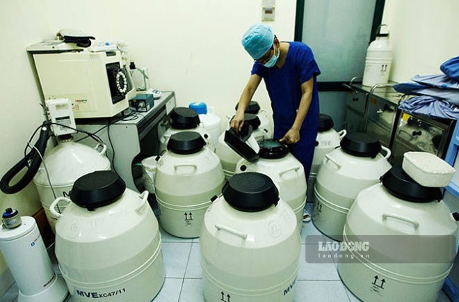 Sperm bank is strictly preserved. Photo: Hoa Long